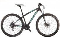 bianchi duel 29.0 $799.jpg