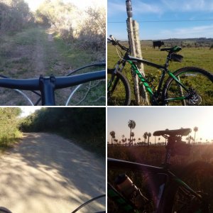 Mtb-Rocha