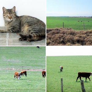 TeamEste MTB - Salida hasta Empalme Olmos (19-07-2015)