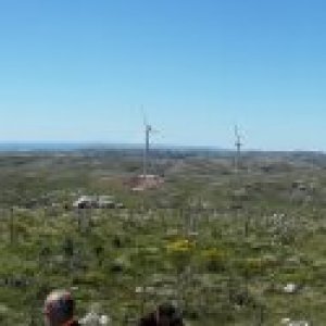 20141123_151444_small