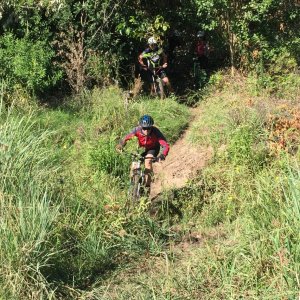 2015-02-22 10.41.58-1