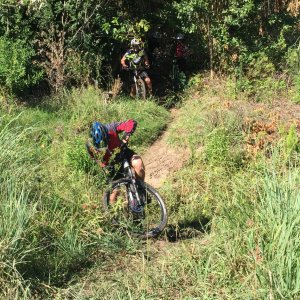 2015-02-22 10.41.59-2