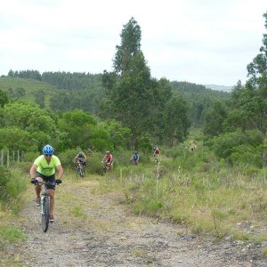 135582_1773680070121_2123820_o