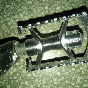 13234597_709330019205457_174494037_o