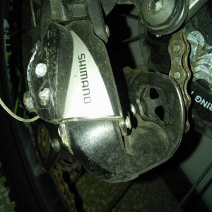 13234838_709330025872123_124427415_o