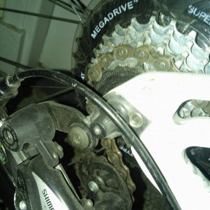 13275252_709330035872122_2109872919_o