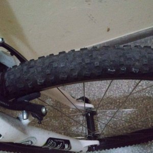 13230684_709330052538787_309871127_o