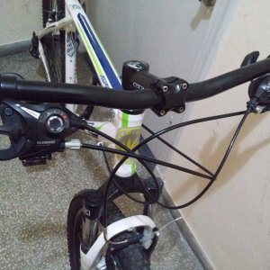 13271922_709330089205450_1725043566_o