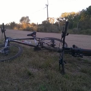 08d0f9dd-a823-4edb-b421-7330f2f110cf