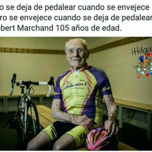 15823024_1536874136329198_4550317062385817143_n