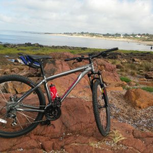 WhatsApp Image 2017-01-16 At 17.01.44