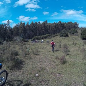 2017_0402_115319_003