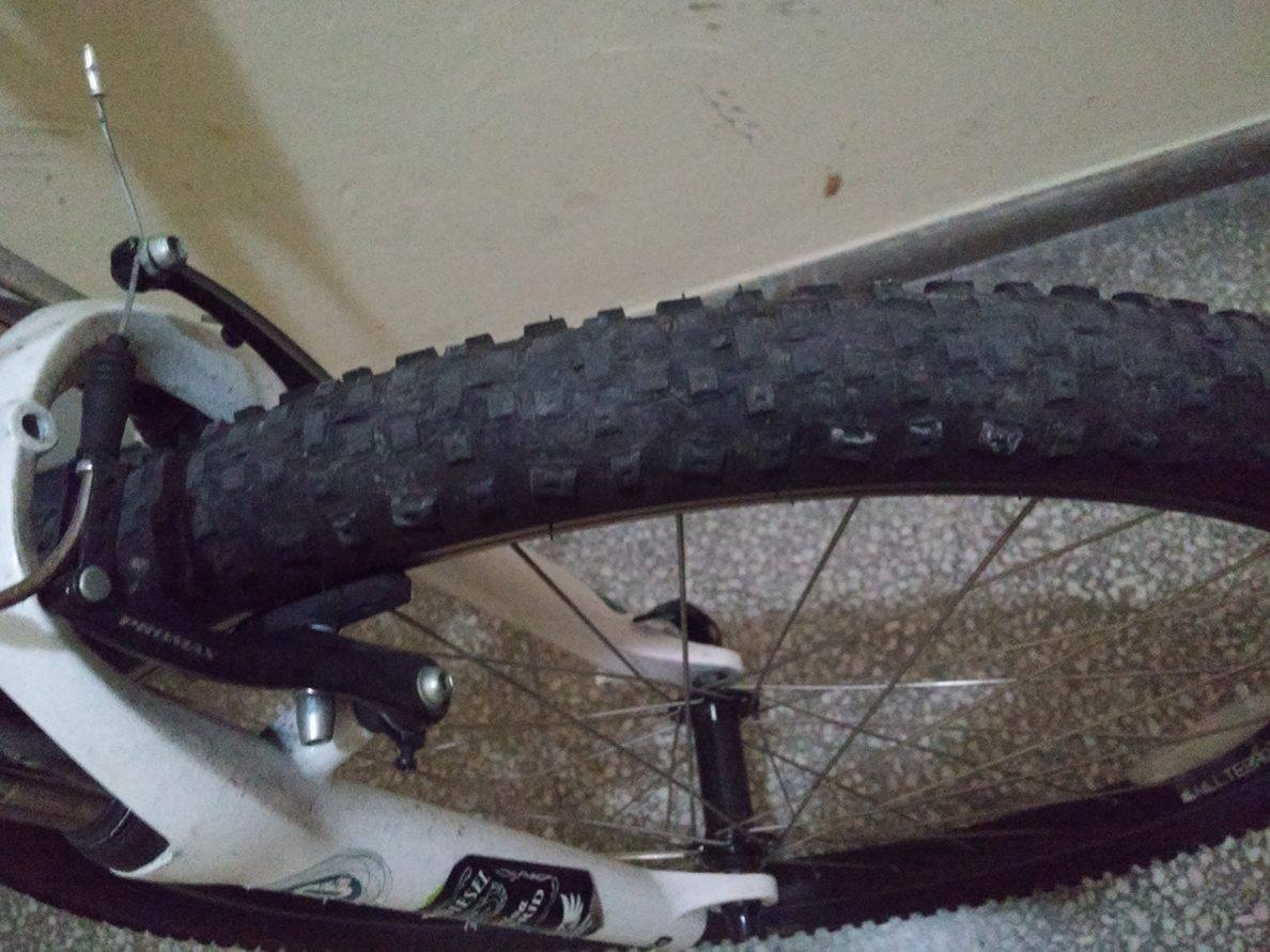 13230684_709330052538787_309871127_o