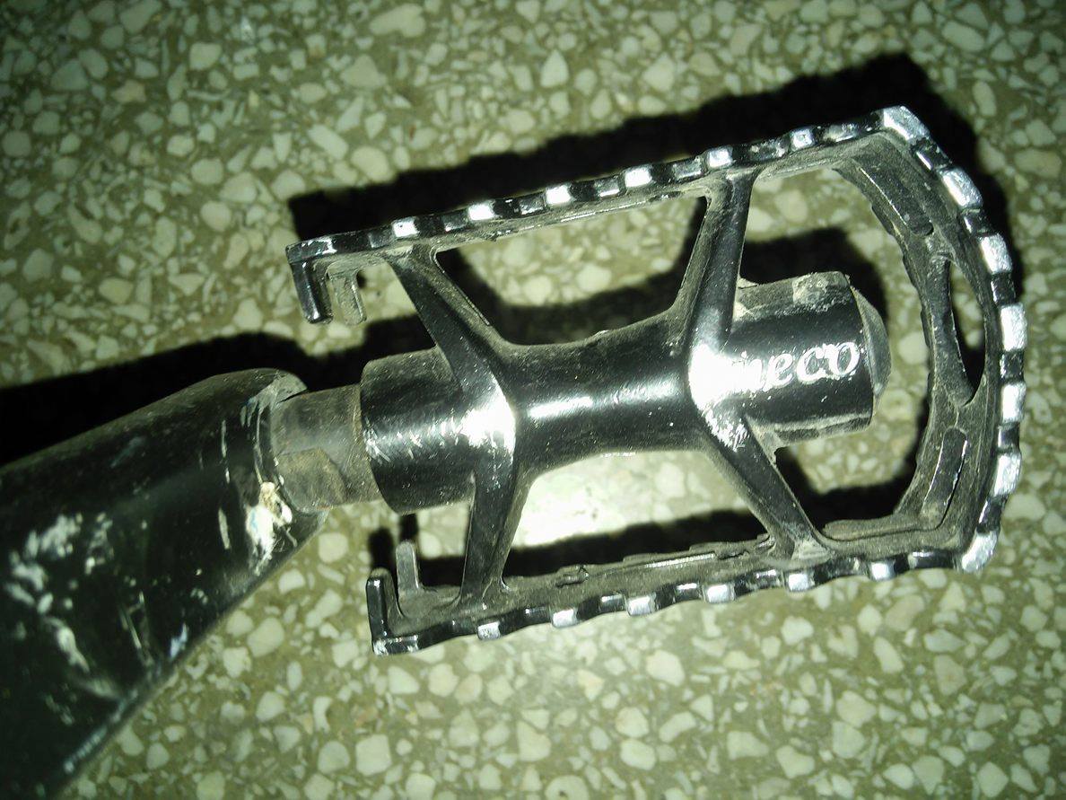 13234597_709330019205457_174494037_o