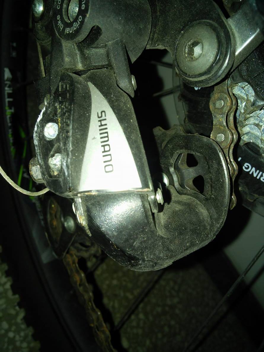 13234838_709330025872123_124427415_o