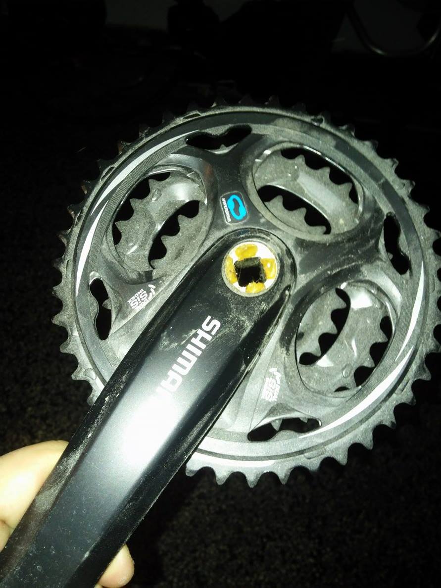 13241508_709330012538791_896098953_o