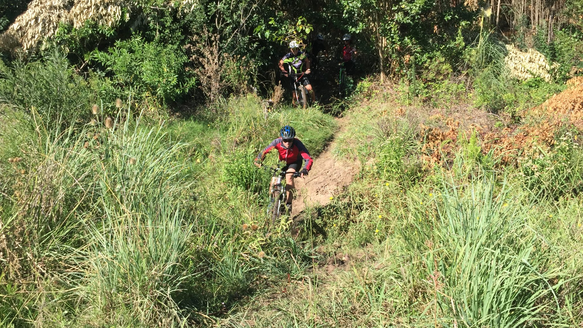 2015-02-22 10.41.58-1