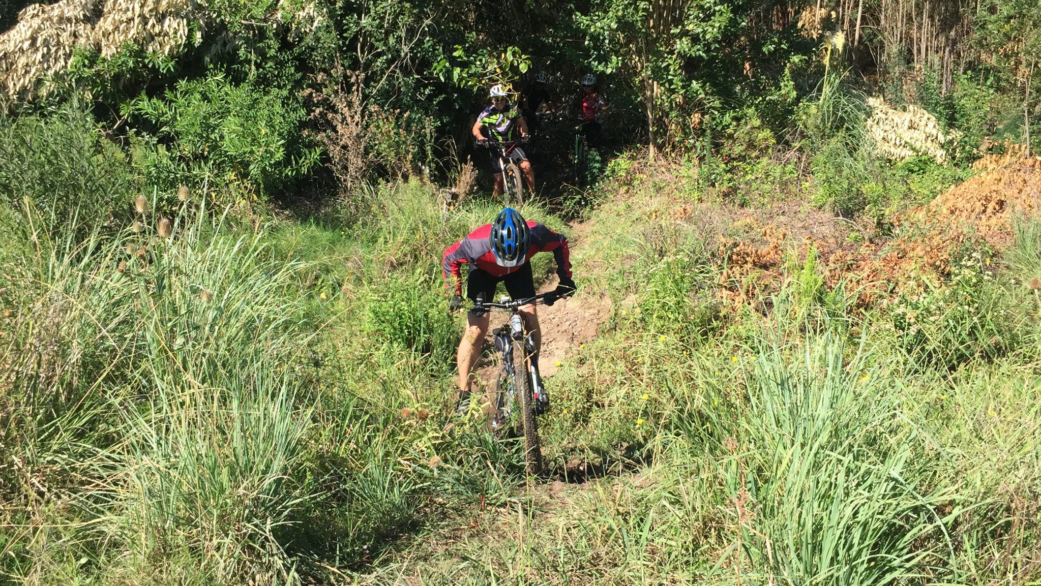 2015-02-22 10.41.59-1