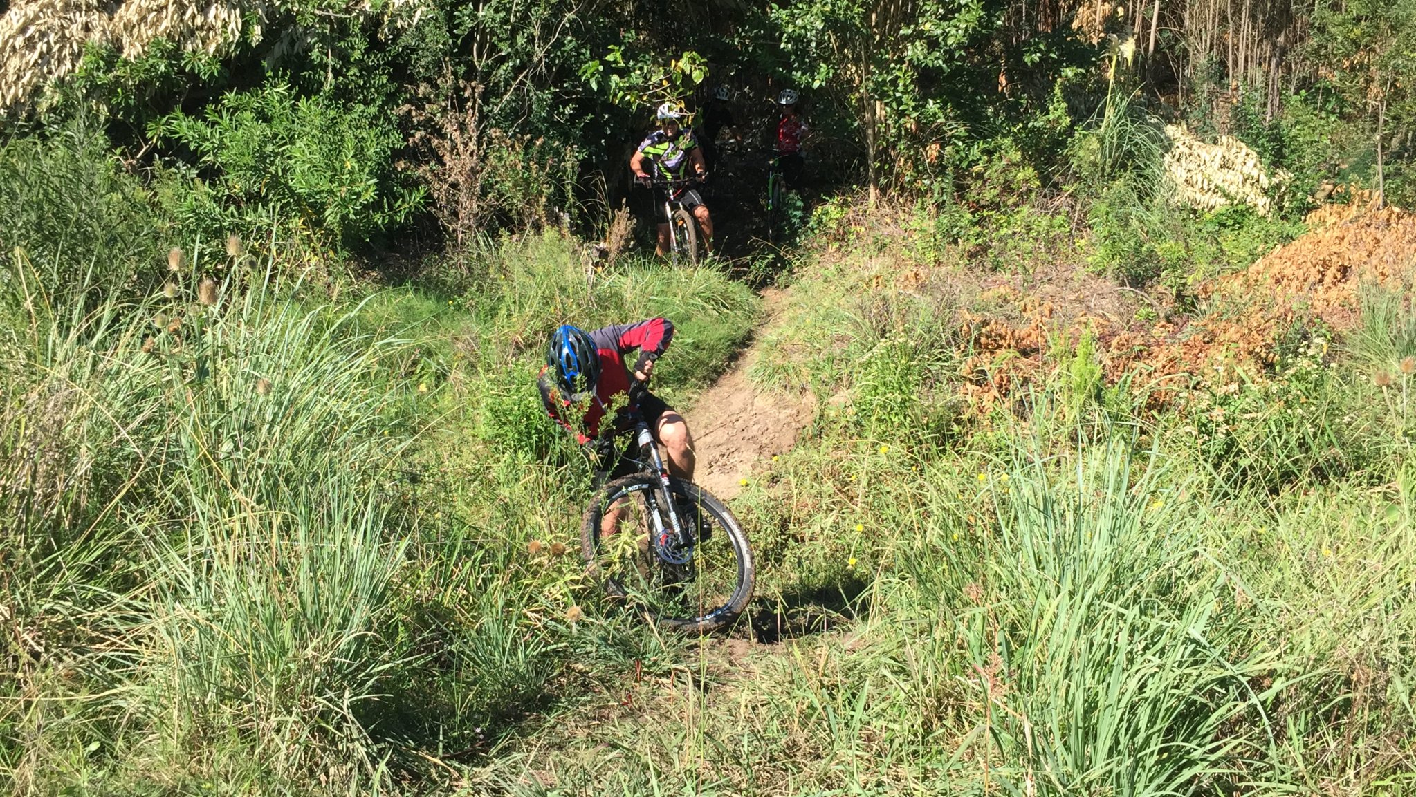 2015-02-22 10.41.59-2