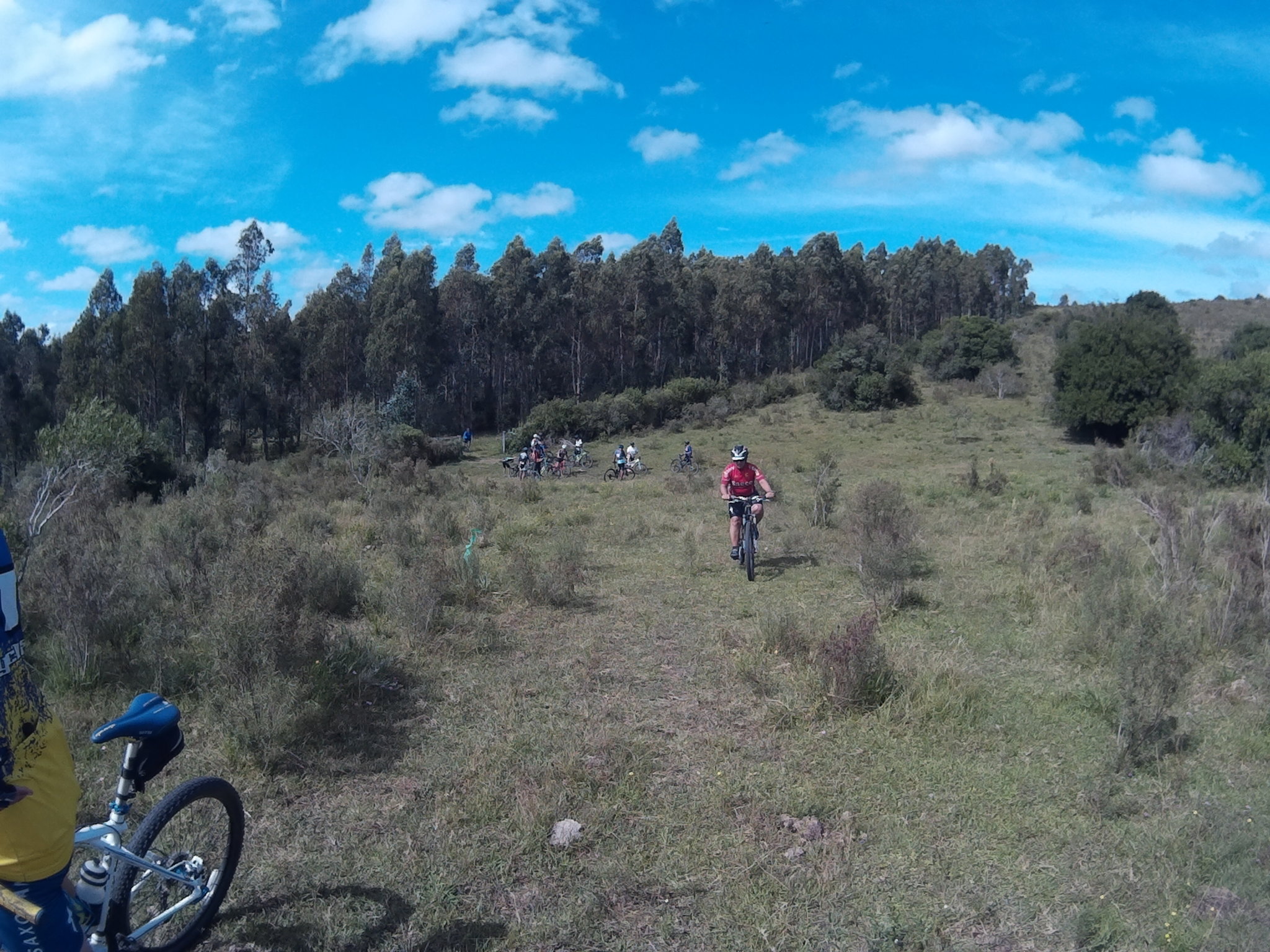 2017_0402_115319_003