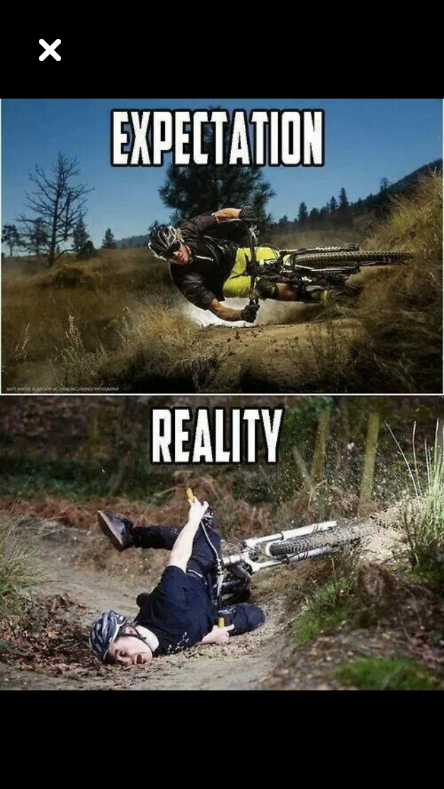 810A337F-2B6D-403E-B795-69054E8A37C3