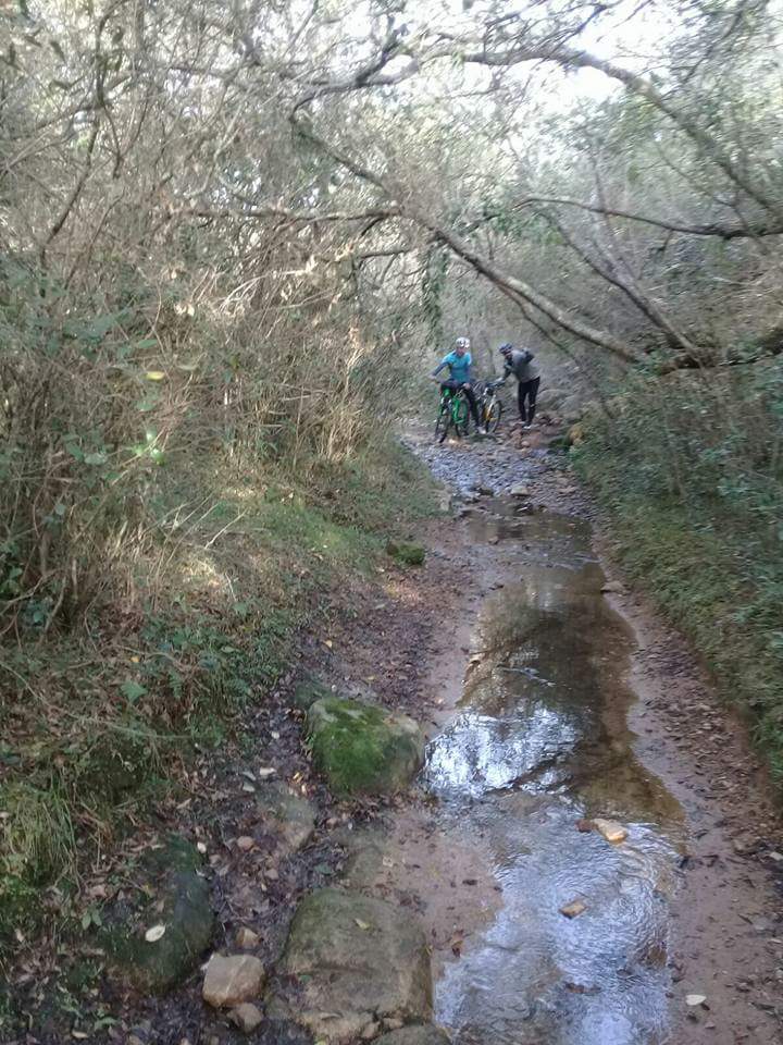 FB_IMG_1501075572100