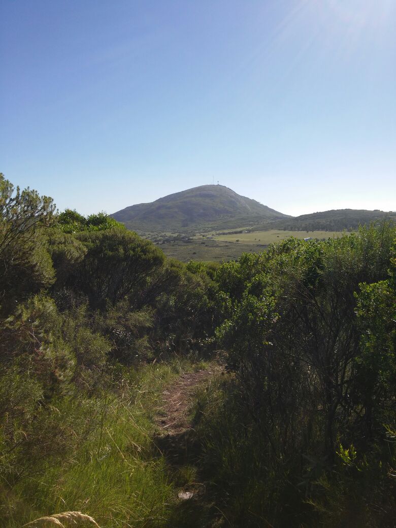 WhatsApp Image 2017-01-16 At 17.00.07