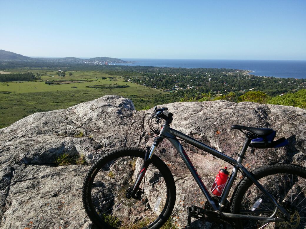 WhatsApp Image 2017-01-16 At 17.00.08