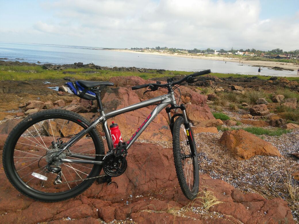 WhatsApp Image 2017-01-16 At 17.01.44