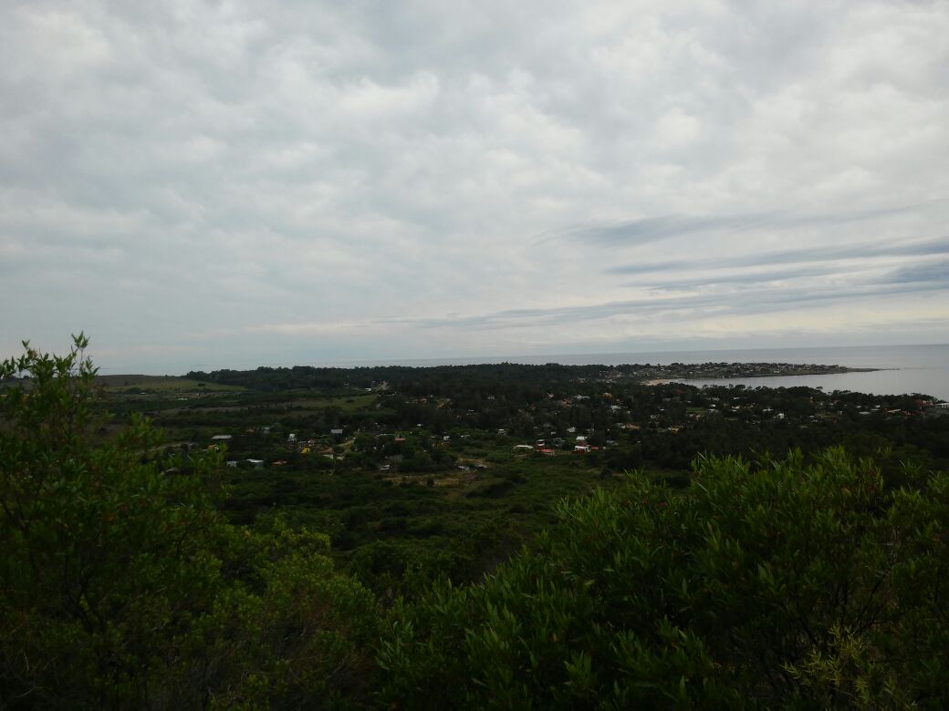 WhatsApp Image 2017-01-16 At 17.02.54